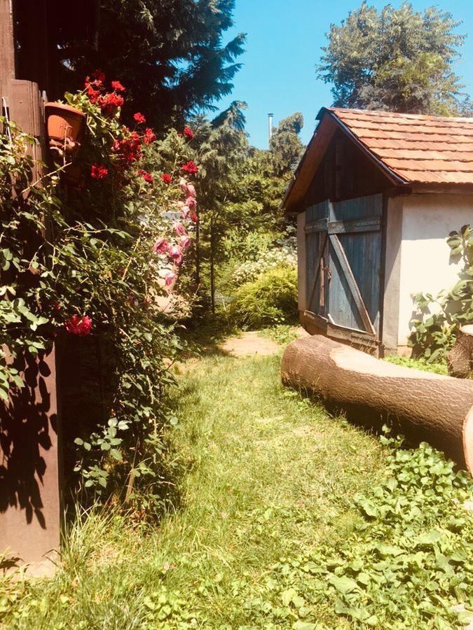 Rózsakert Panzió Nyiregyhaza Exterior foto